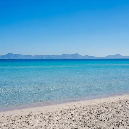 乡村民宿 Ideal Mallorca - Sa Pleta Del Poveto